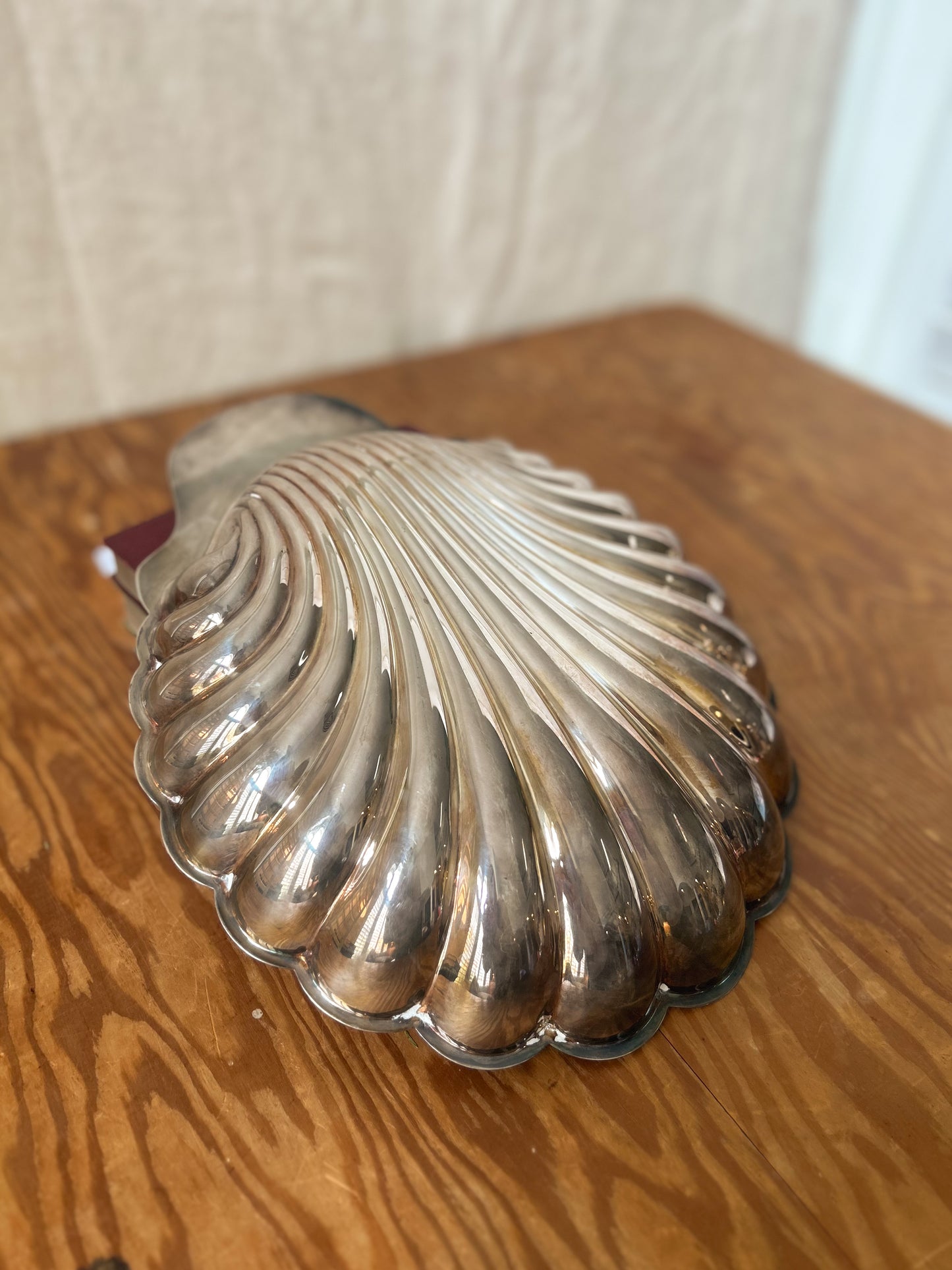 Sterling Silver-Plated Shell